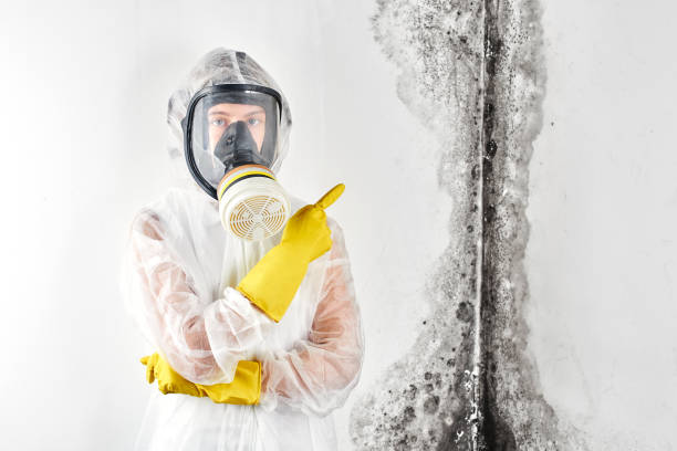 Biohazard Mold Removal in Chillicothe, MO